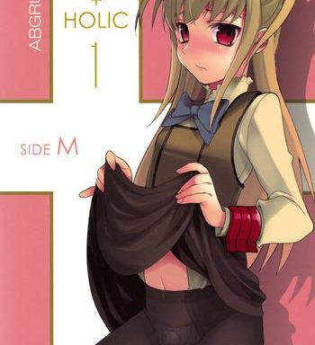 holic holic 1 side m cover