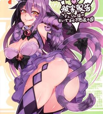 mamono musume zukan higai houkoku monstergirl encyclopedia damage report cover