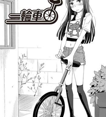 unicycle cover