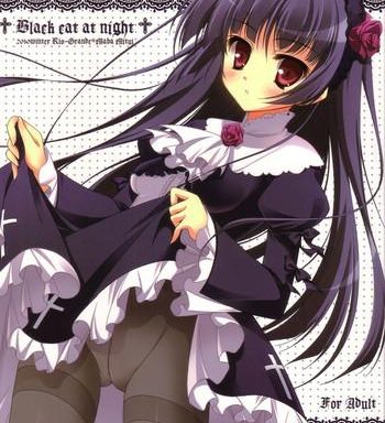 black cat at night cover