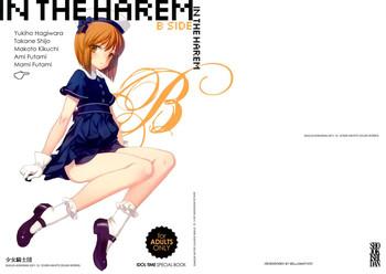 in the harem b side cover 1