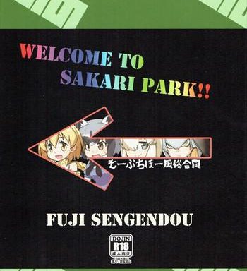 welcome to sakari park cover