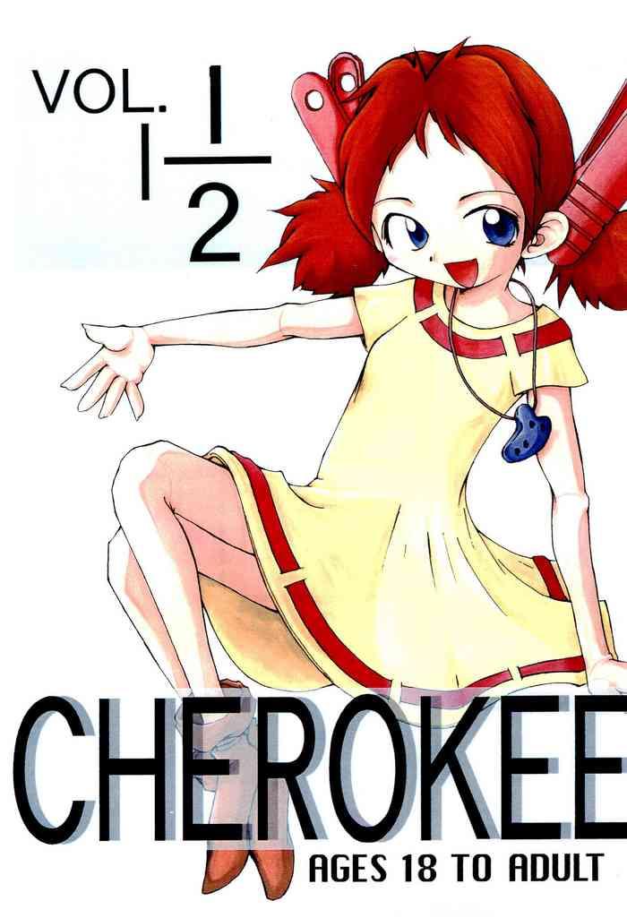 cherokee vol 1 1 2 cover