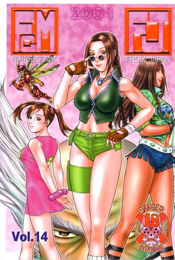 fighters gigamix fgm vol 14 cover