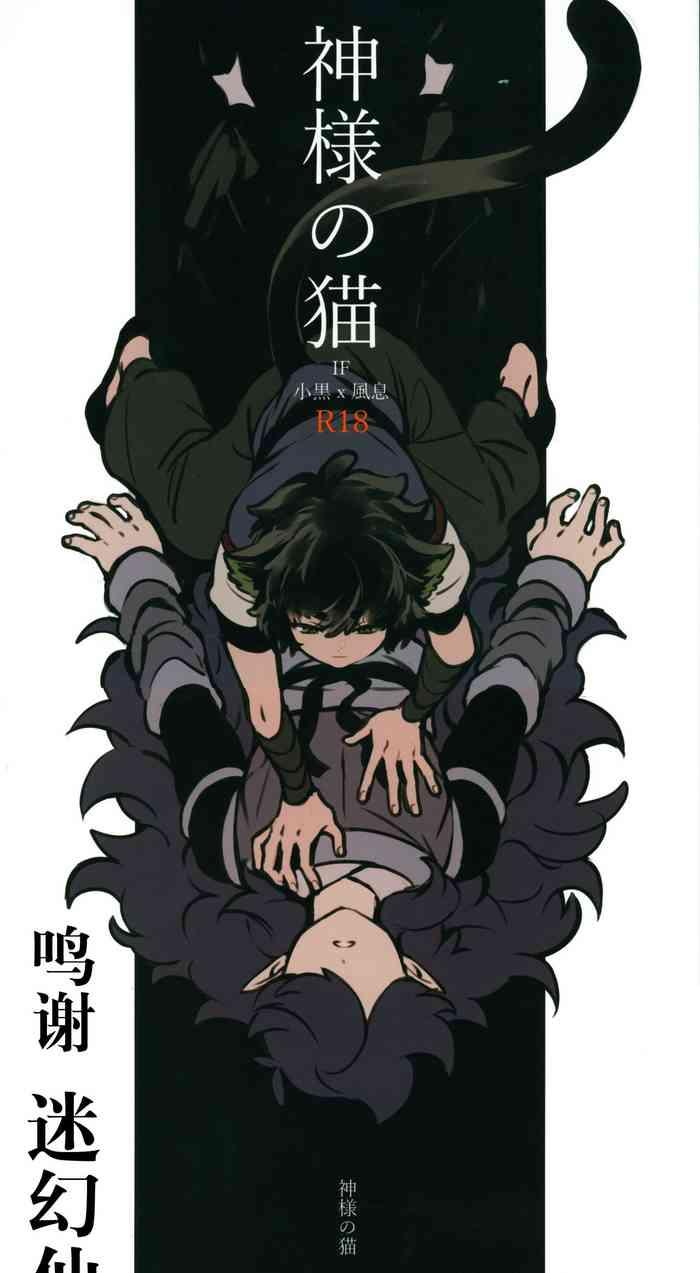 cover 15