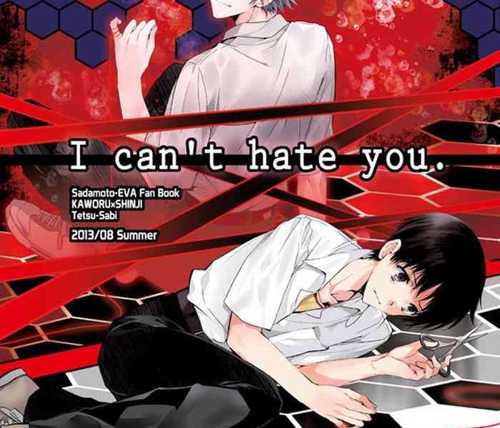 i can t hate you cover