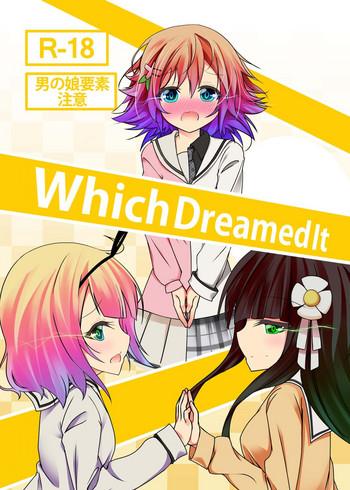which dreamed it cover