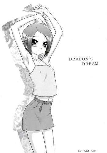 dragon x27 s dream cover