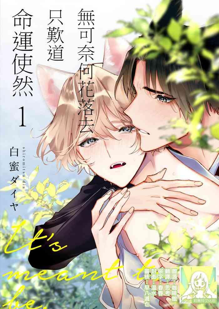 d shiy mo nai hodo ni unmei 1 cover